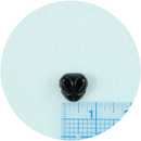 Small Animal Nose-1