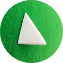 George Nose Form-1